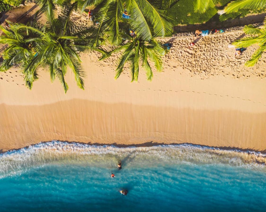 Imagine972 Martinique Bateau Hotel A Quai Le Marin 3 Cabines 3 Salles De Bains 6 Pers Maxi Екстериор снимка