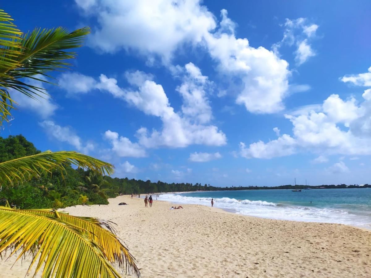 Imagine972 Martinique Bateau Hotel A Quai Le Marin 3 Cabines 3 Salles De Bains 6 Pers Maxi Екстериор снимка