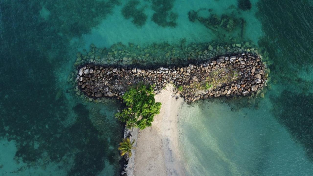 Imagine972 Martinique Bateau Hotel A Quai Le Marin 3 Cabines 3 Salles De Bains 6 Pers Maxi Екстериор снимка