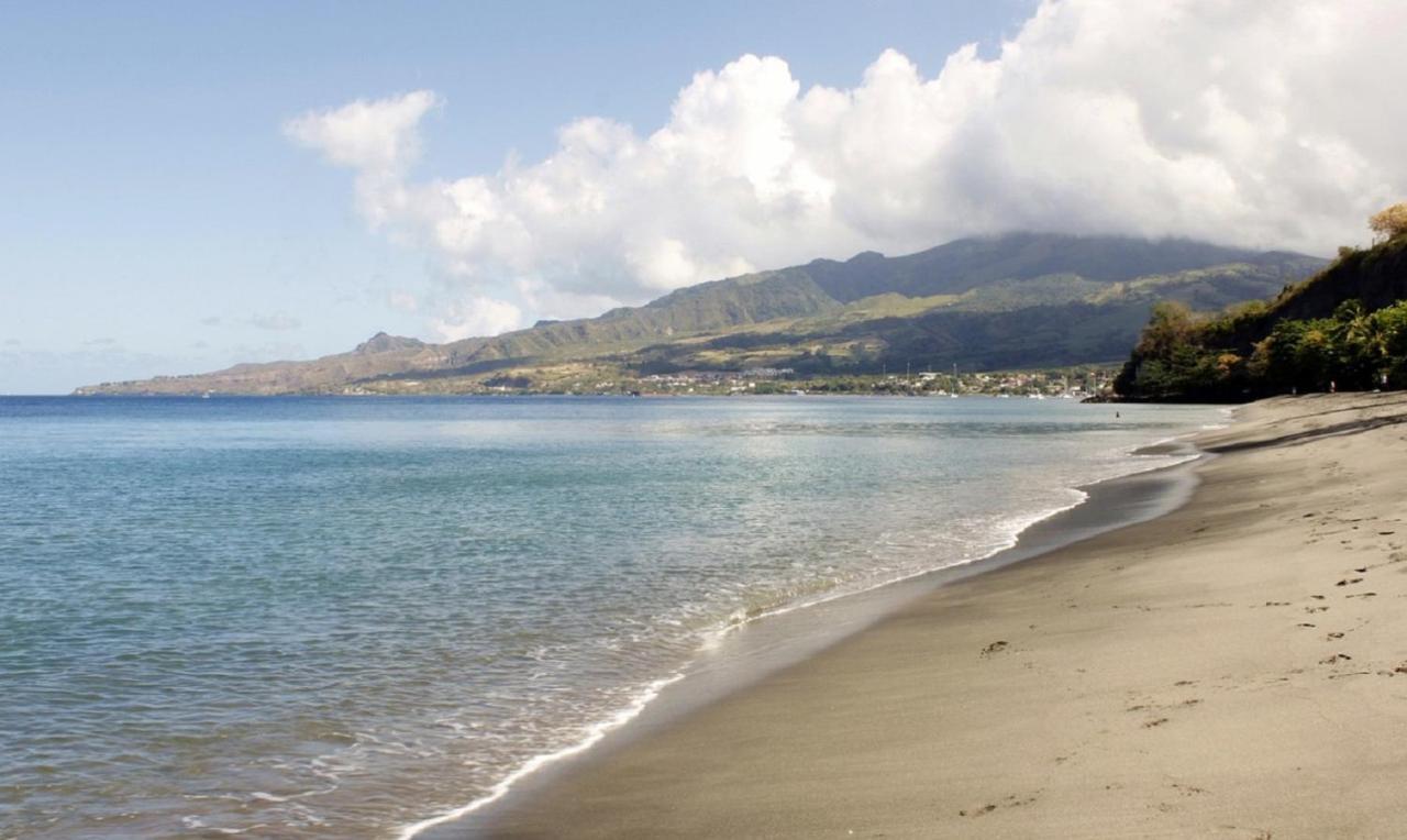 Imagine972 Martinique Bateau Hotel A Quai Le Marin 3 Cabines 3 Salles De Bains 6 Pers Maxi Екстериор снимка